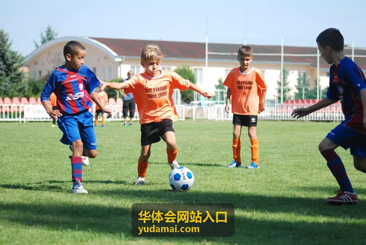 华体会网站入口 首页栏目索引预览