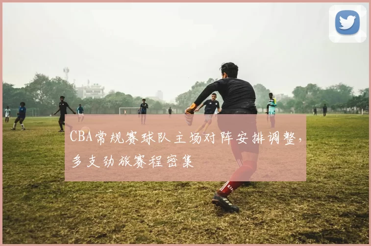 CBA常规赛球队主场对阵安排调整，多支劲旅赛程密集