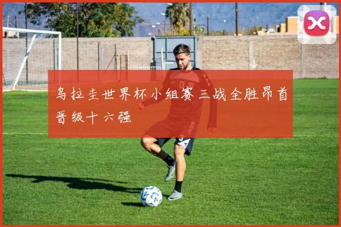 乌拉圭世界杯小组赛三战全胜昂首晋级十六强