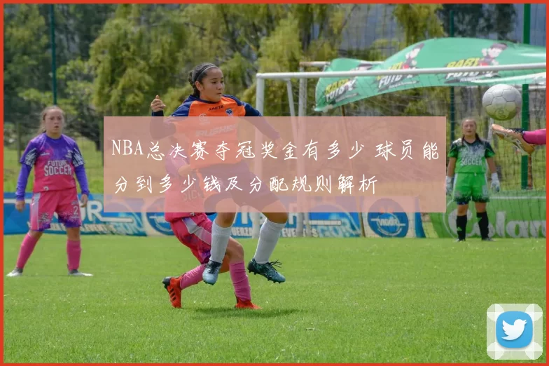 NBA总决赛夺冠奖金有多少 球员能分到多少钱及分配规则解析